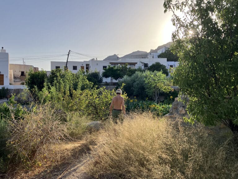 Die Wiederbelebung des trockenen Landes: Wie wir eine Wüste in die Oase des Gartens von Nâm verwandelt haben