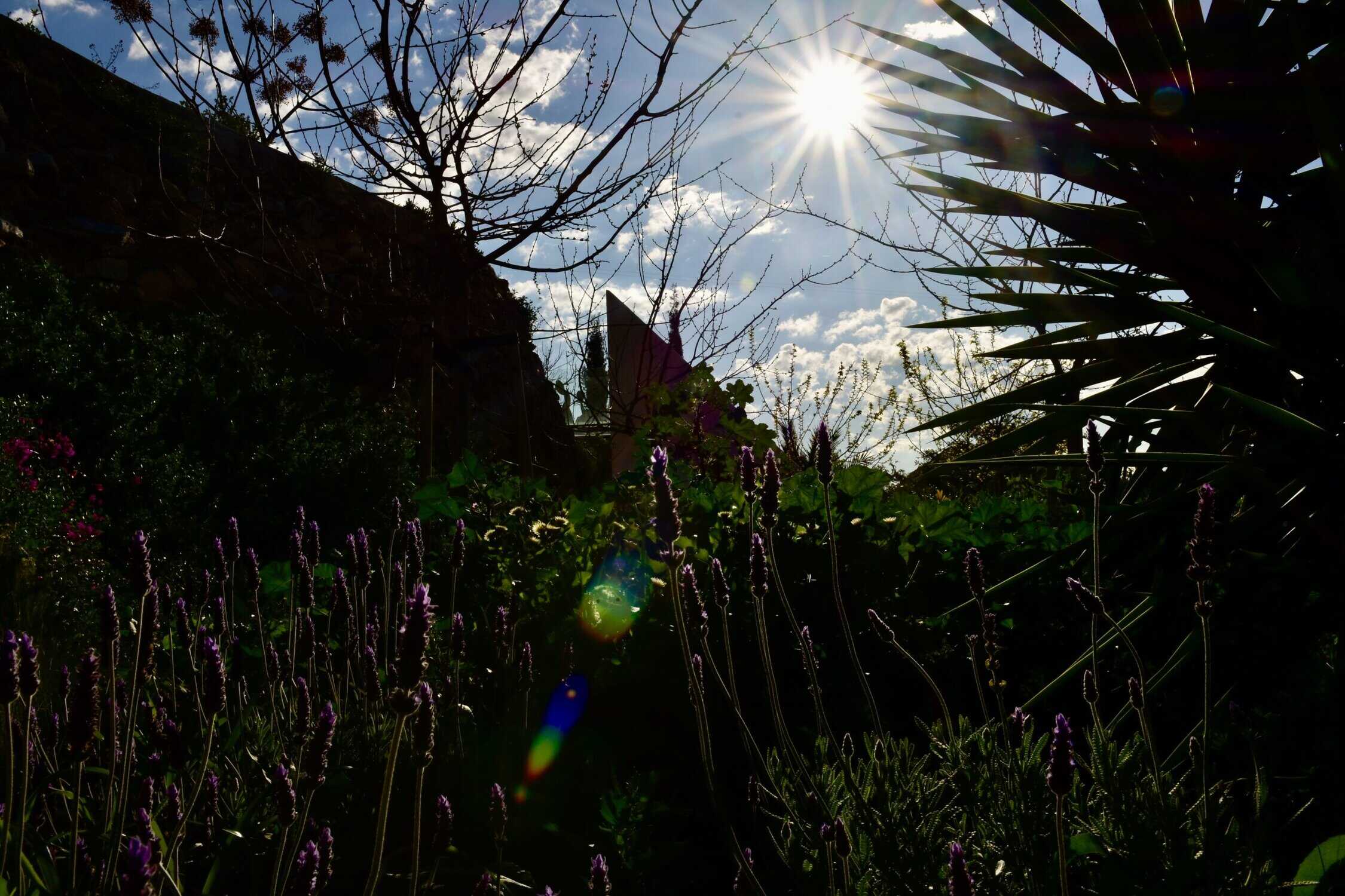 Rianne 07 - The Garden of Nâm ~ Retreat & Meditation Center