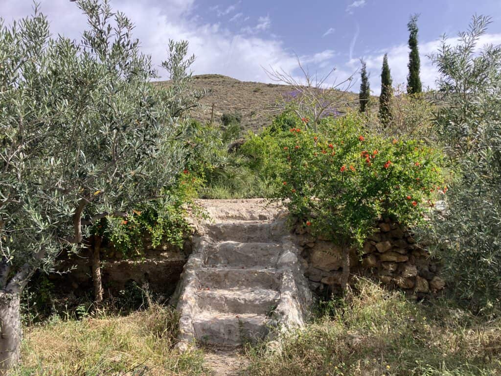 IMG_2418 - The Garden of Nâm ~ Retreat & Meditation Center