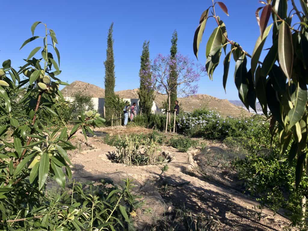 IMG_2552 - The Garden of Nâm ~ Retreat & Meditation Center