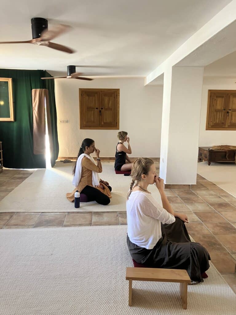 IMG_3747 - Il Giardino di Nâm ~ Centro di ritiro e meditazione