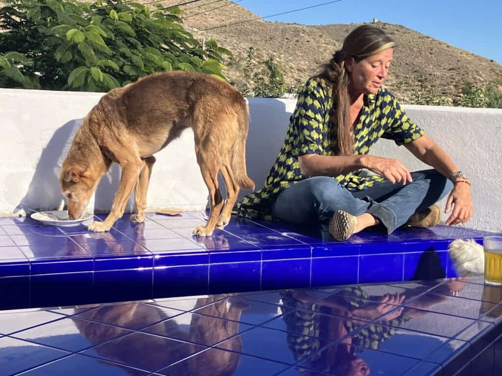 IMG_5114 - The Garden of Nâm ~ Retreat & Meditation Center