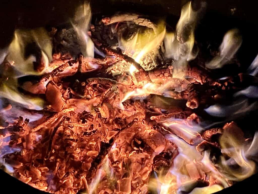 IMG_5209 - The Garden of Nâm ~ Retreat & Meditation Center