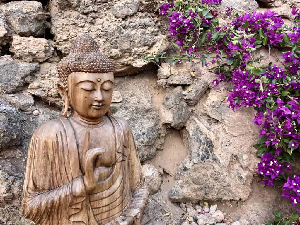 IMG_5232 - The Garden of Nâm ~ Retreat & Meditation Center