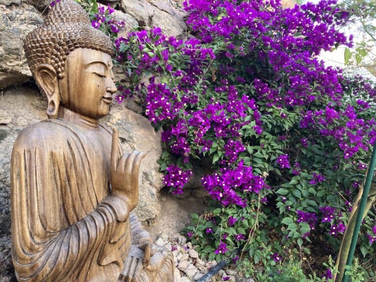 Viver no Jardim de Nâm: A essência da meditação