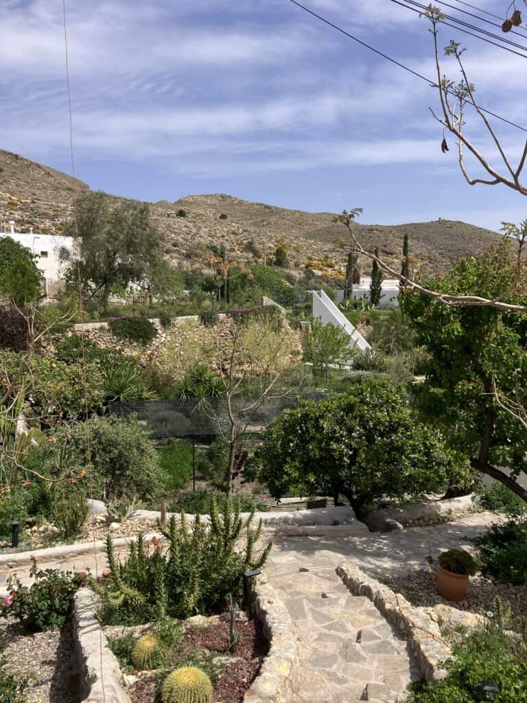Stone garden path winding through a terraced yard with succulents and cacti, hills in the background under a blue sky.