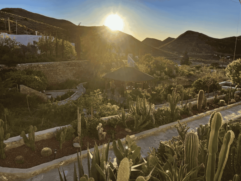 Golden hour tafereel van een terrasvormige cactustuin met een rieten prieel en stenen muren, heuvels op de achtergrond en de zon laag aan de hemel.