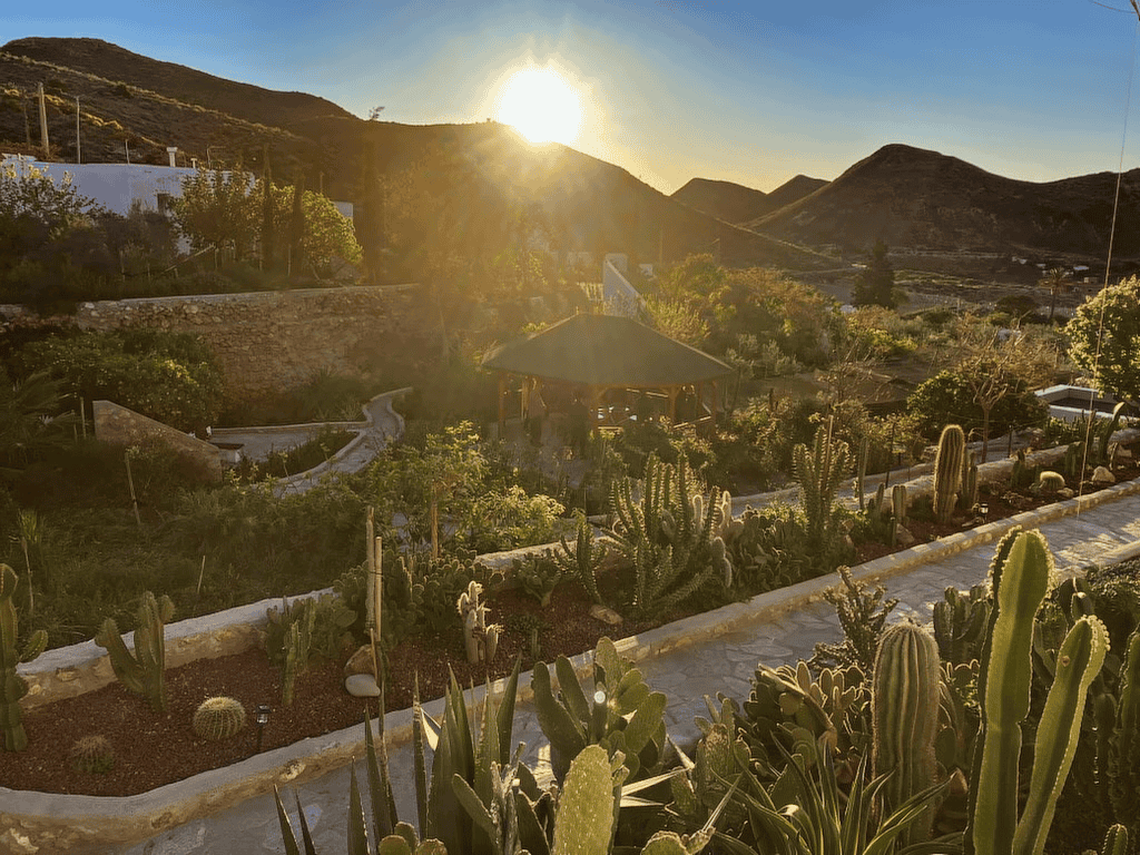 Escena de hora dorada de un jardín de cactus en terrazas con un cenador de paja y muros de piedra, colinas al fondo y el sol bajo en el cielo.